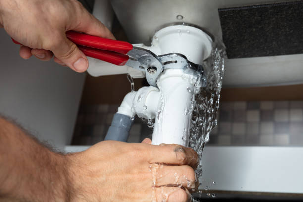Best Flooded house restoration  in Ball Ground, GA