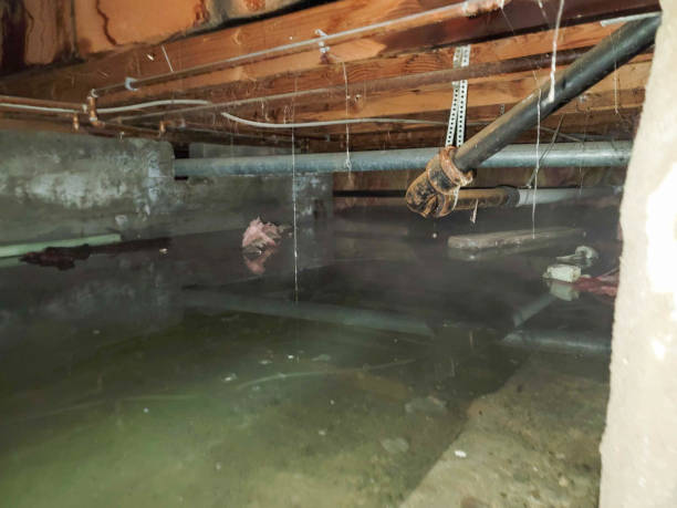 Best 24/7 water damage repair  in Ball Ground, GA