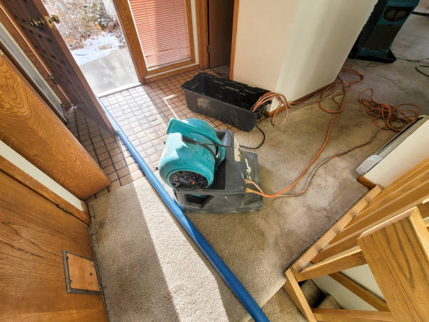 Best Flood damage cleanup  in Ball Ground, GA