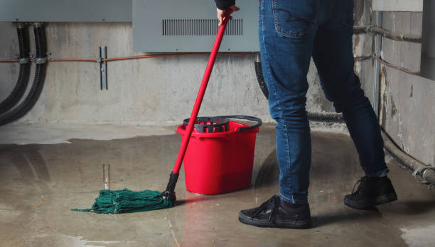 Best Basement water damage restoration  in Ball Ground, GA