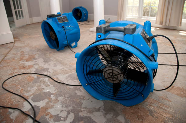 Best Local water damage restoration  in Ball Ground, GA