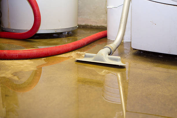  Ball Ground, GA Water damage restoration Pros