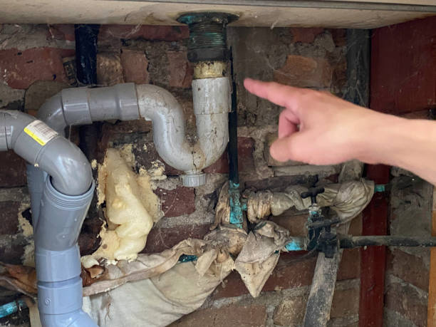 Best Professional water damage repair  in Ball Ground, GA