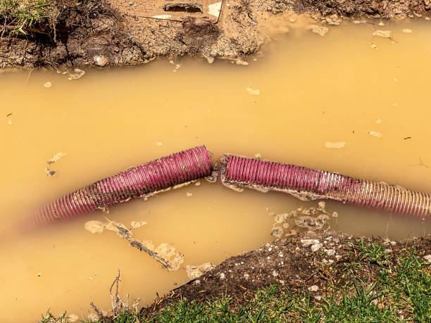 Best Water damage cleanup near me  in Ball Ground, GA
