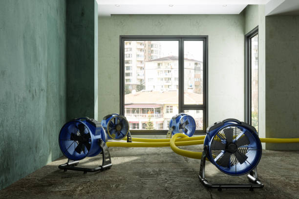 Best 24/7 water damage repair  in Ball Ground, GA